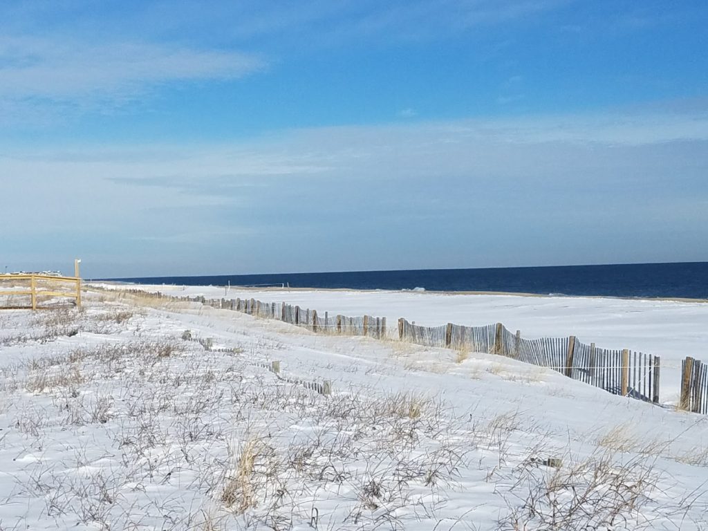 Snow from January 2018 Bomb Cyclone looking North on the beach; Courtesy: Dave Greer